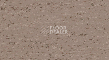 Линолеум Gerflor Mipolam Accord 0343 ORO фото 1 | FLOORDEALER